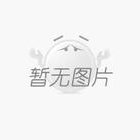 专访能源学会专委会主任袁振宏